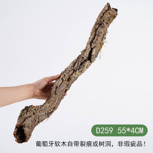 【青氧】葡萄牙软木雨林缸造景附生植物爬宠攀爬躲避屋孤品-D259