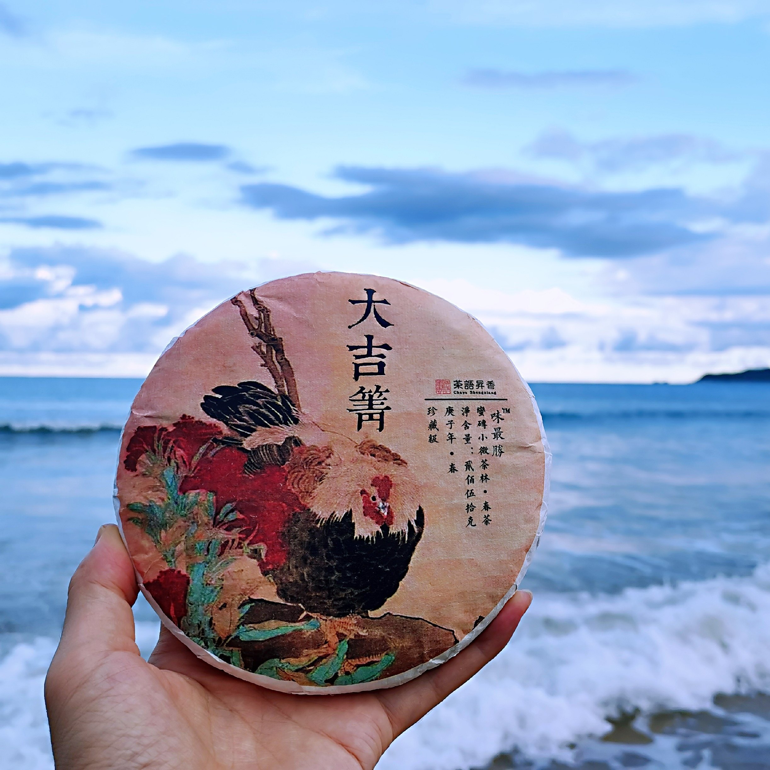 茶语昇香大吉箐2020春普洱茶生茶