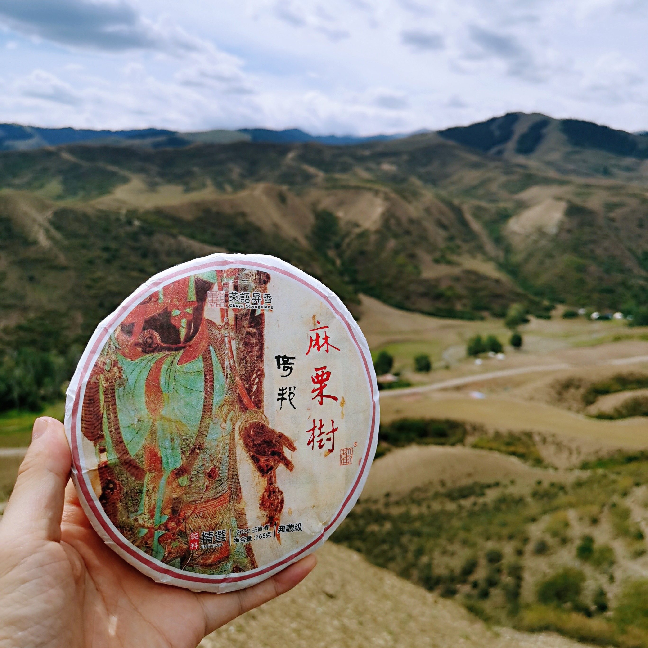 生茶倚邦栗树生茶茶语昇香