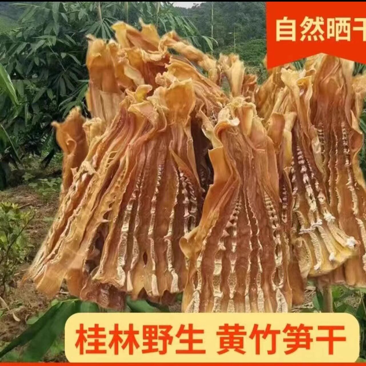 竹笋干广西特产无盐脆嫩笋干干货农家自晒笋尖野生黄竹干笋片包邮