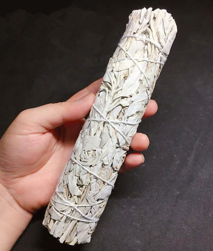 新品白鼠尾草美国独立包装