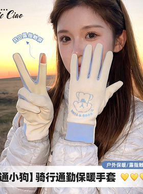 电动车保暖手套女秋冬加绒加厚