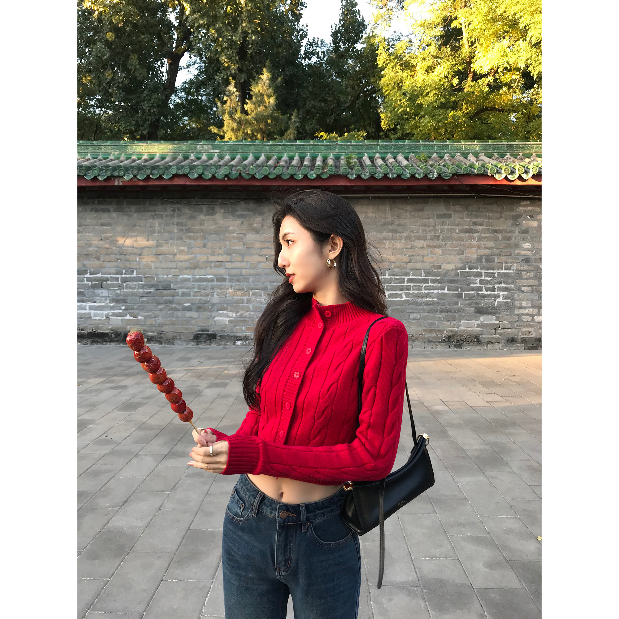 MULVAN 经典旋律 复古半高领麻花毛衣开衫女气质修身短款针织上衣