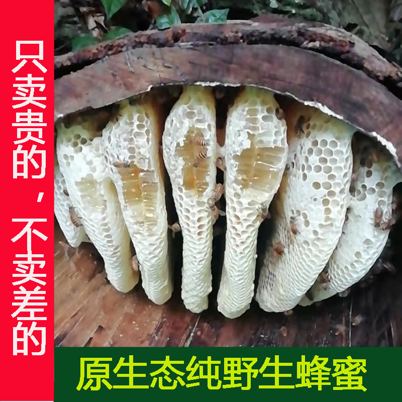 深山纯天然野生土蜂蜜成熟百花蜜农家正宗纯中蜂蜂蜜孕妇儿童原蜜
