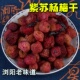 本地紫苏杨梅干248克即食蜜饯果干湖南浏阳特产休闲零食下午茶点