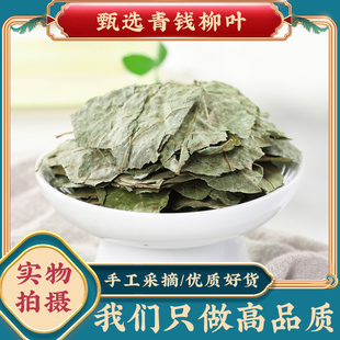 青钱柳叶中药材金钱柳茶古树青钱柳可搭牛蒡玉米须桑叶泡茶水
