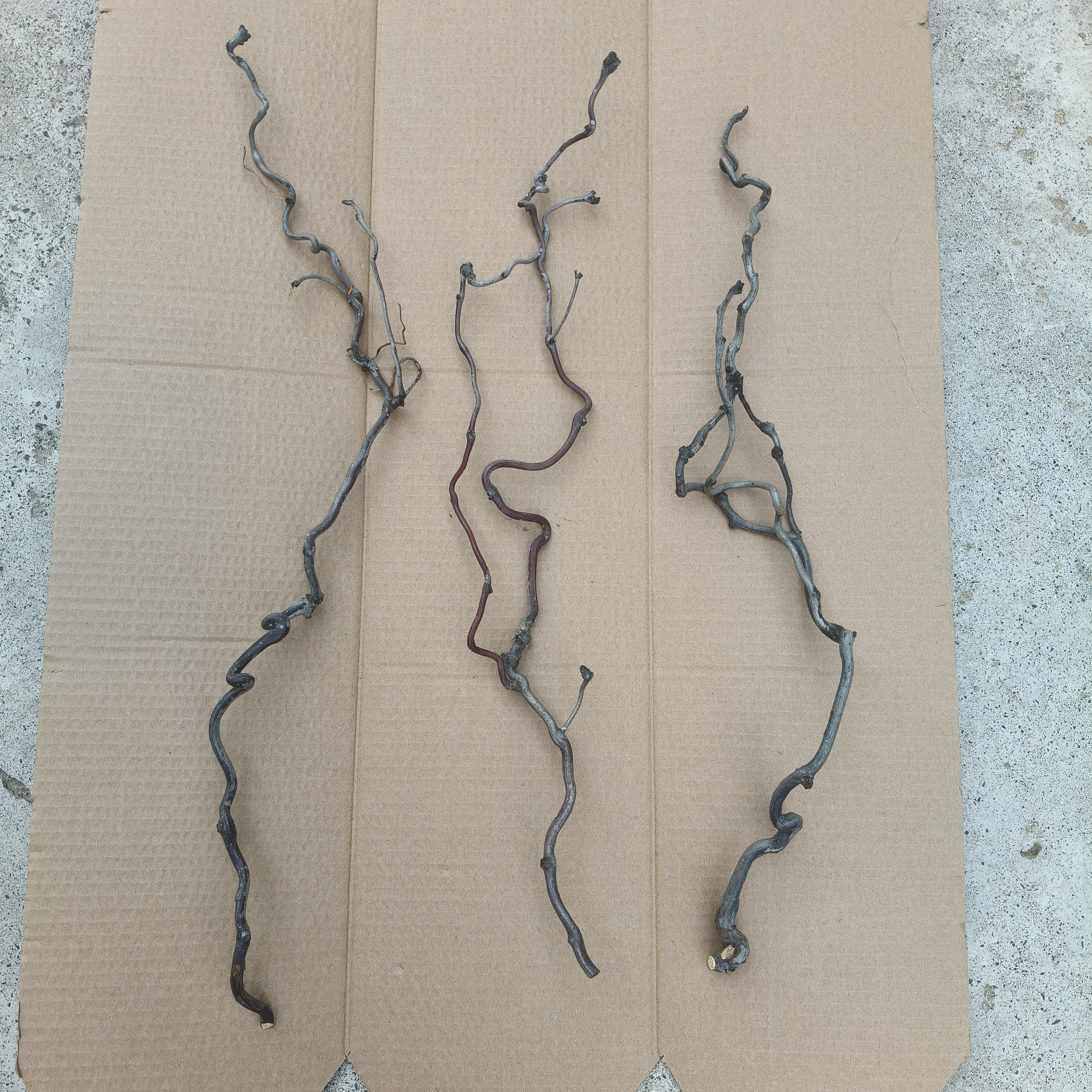 中式日式神器干枝高端天然干树枝家居民宿酒店枯枝装饰龙枣枝