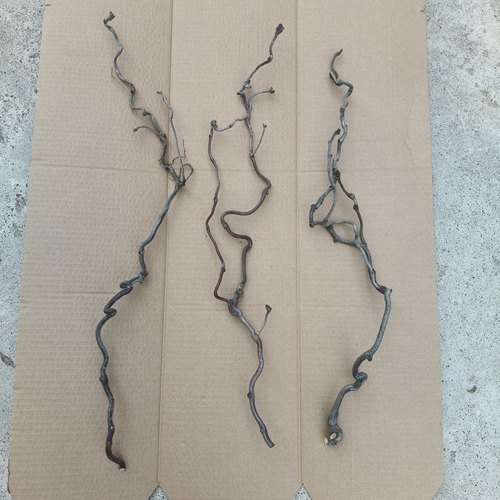 中式日式神器干枝高端天然干树枝家居民宿酒店枯枝装饰龙枣枝