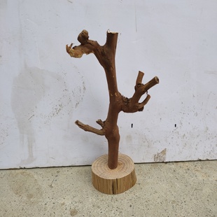 鸟架树杈文玩挂串架手串展示摆件手链手表手镯收纳架首饰实木支架