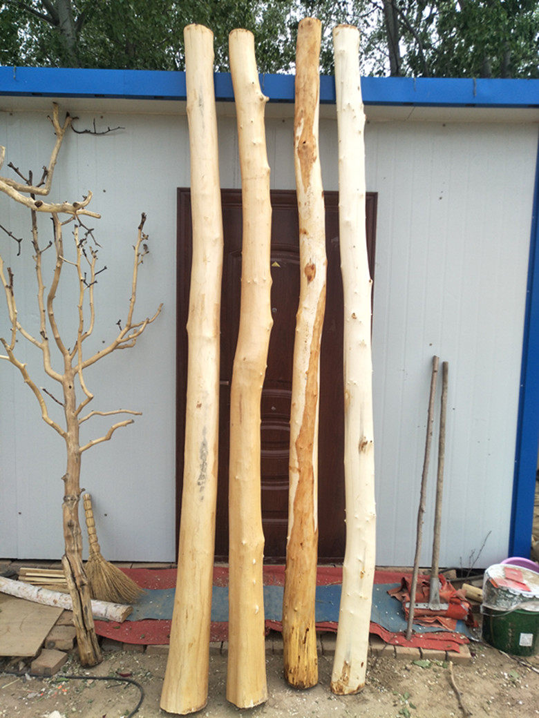 去皮枯树干树枝造型树干创意道具原木橱窗隔断屏风小树干装饰材料