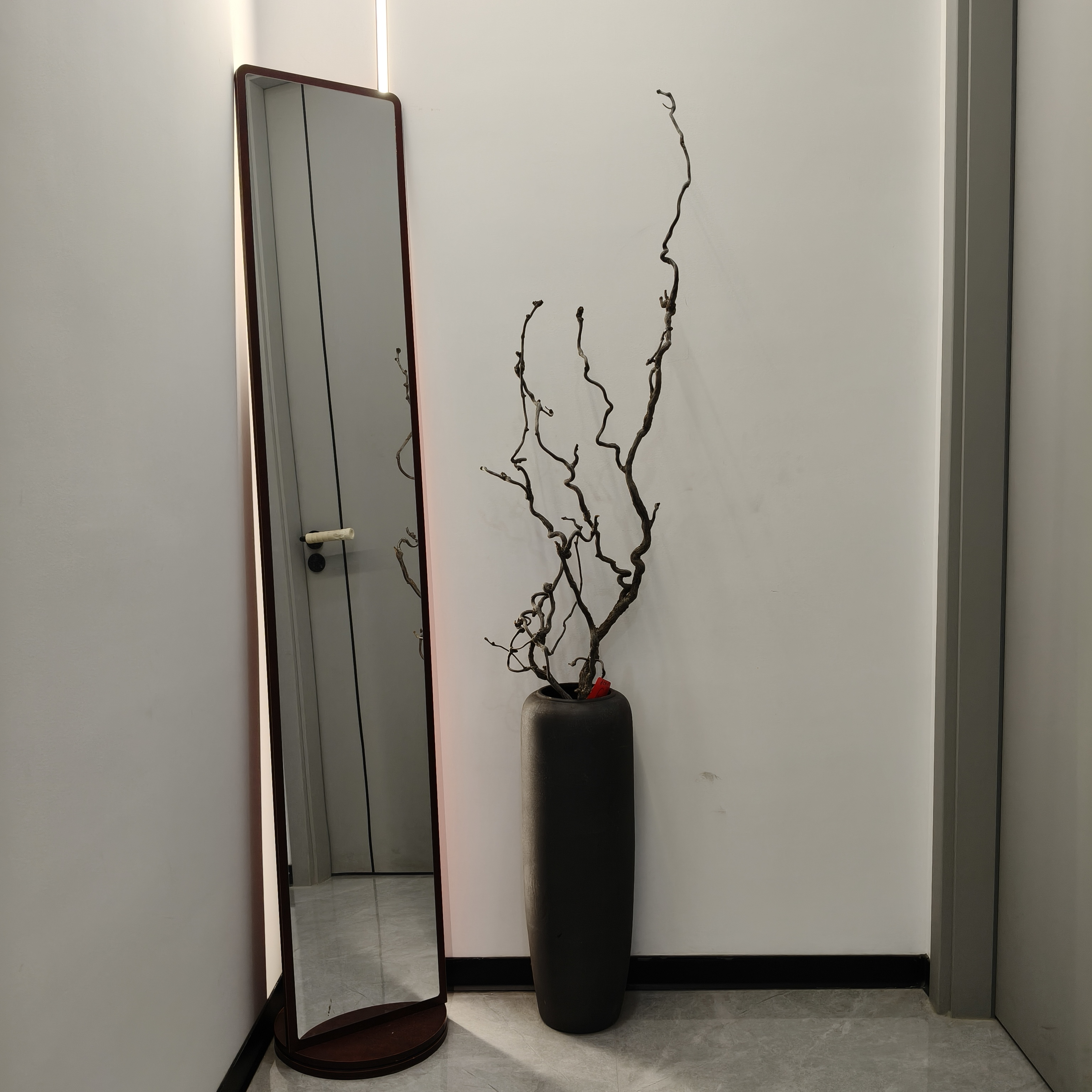 天然龙枣支树枝装饰枯枝龙爪造型干树支干花弯曲花艺造景禅意干支