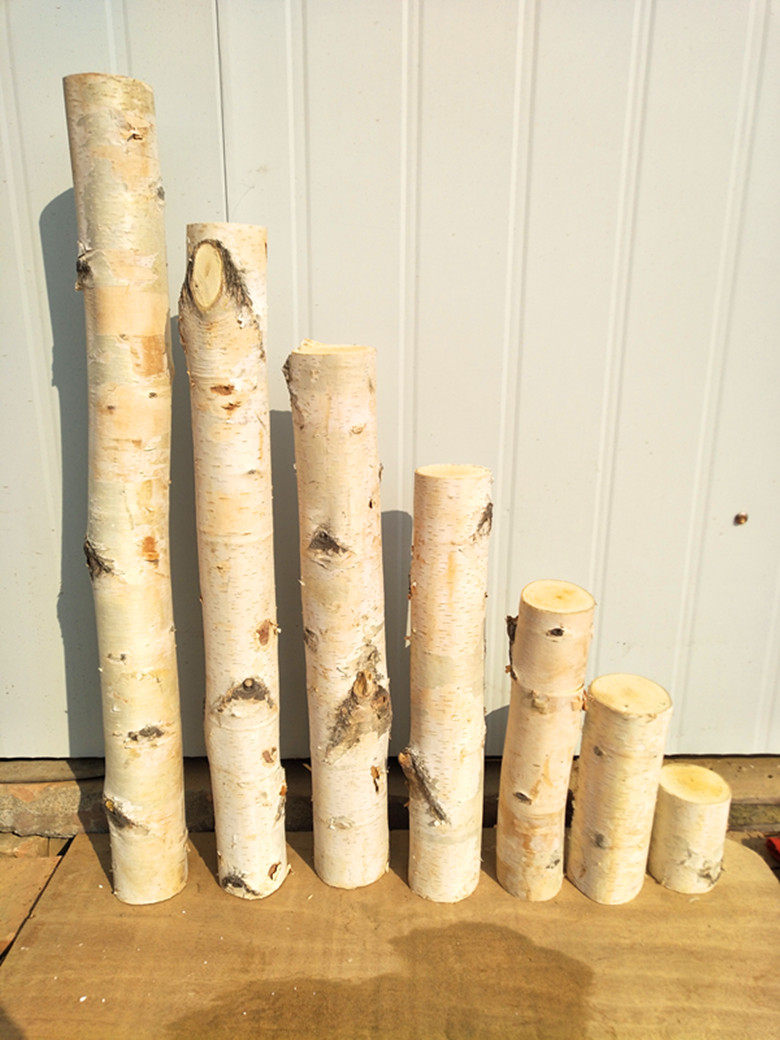 白桦树干木段树桩艺术装饰白树干白杨树白桦树隔断玄关婚庆道具