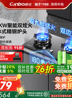 康宝2QB539灶具燃气灶天然气双灶家用定时大火力双边定时灶防干烧