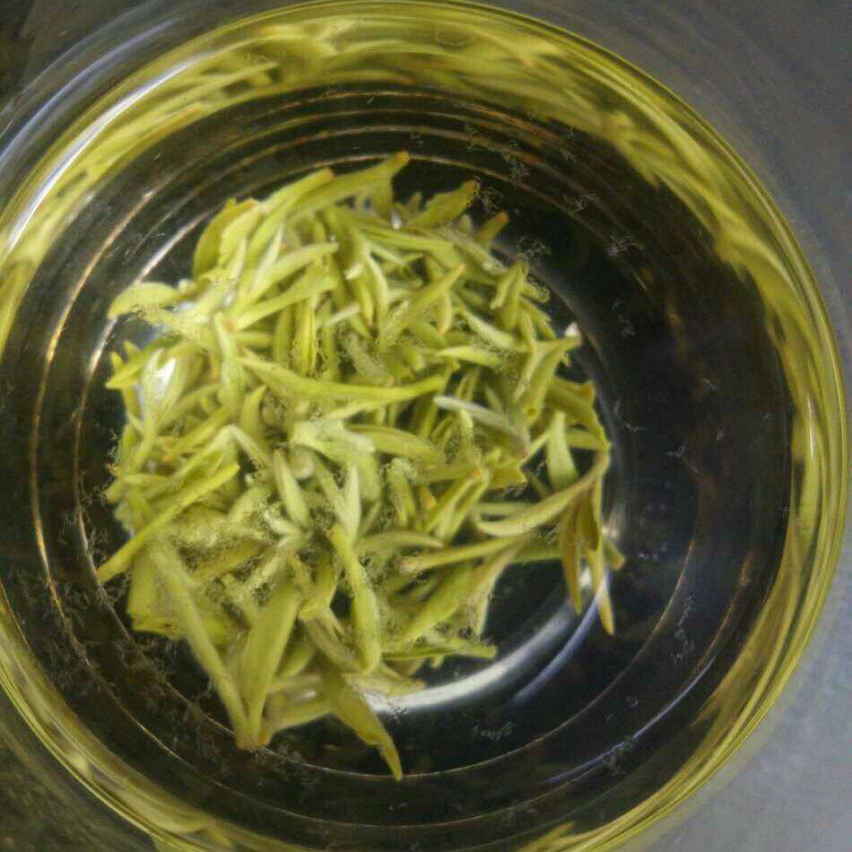 苏城一叶特一级苏州东山洞庭山碧螺春正宗古法纯手工炒制原产地茶