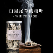 白鼠尾草枝叶多叶净化