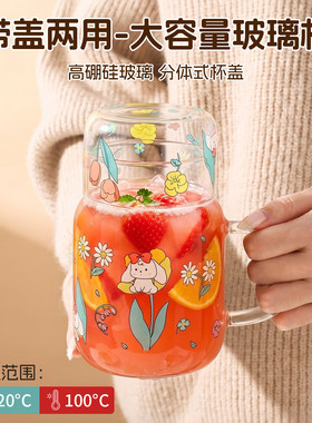 【带盖双饮】一人饮硼硅玻璃水壶