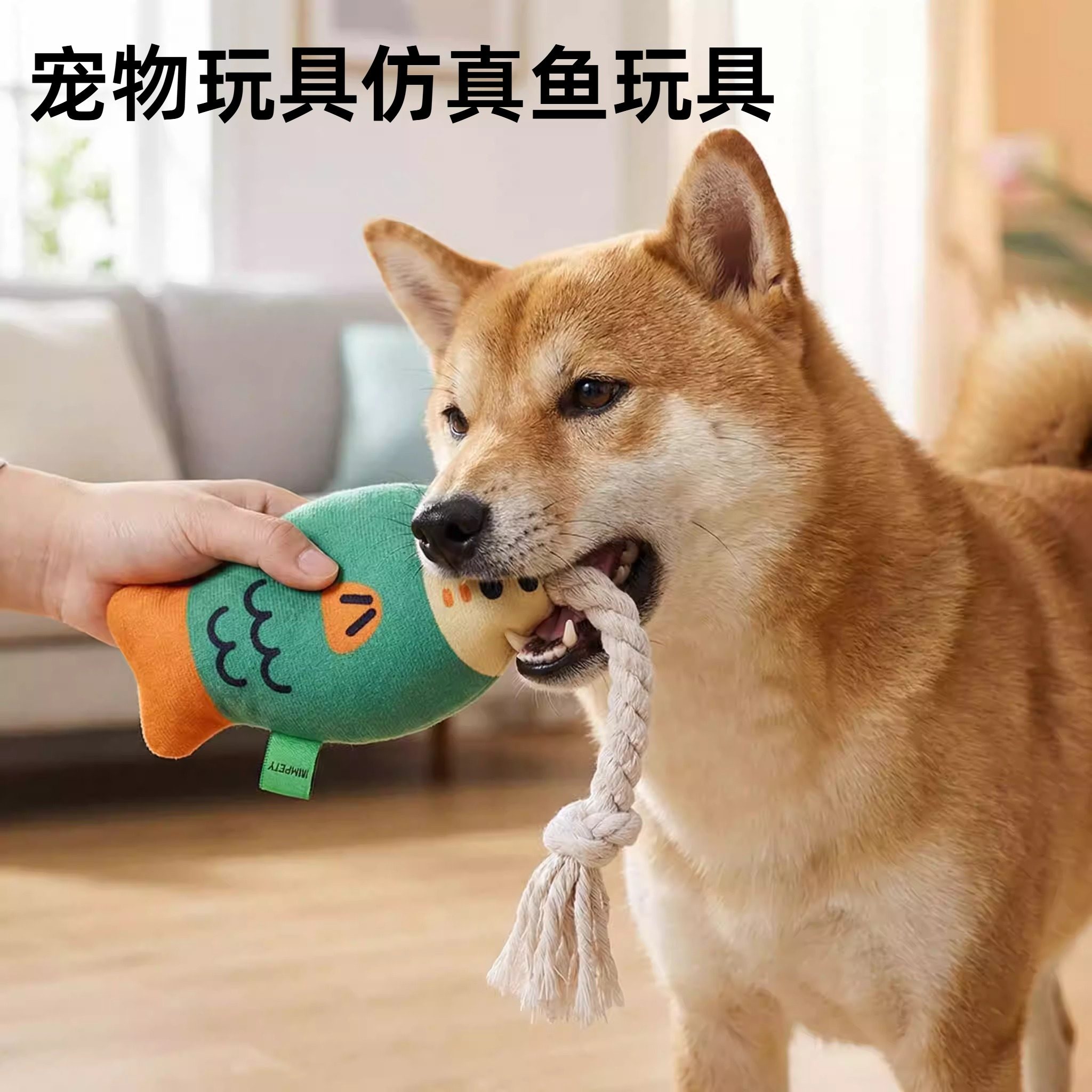 宠物玩具仿真发声胖头鱼磨牙洁齿狗狗自嗨解闷发声玩具用品狗玩具,宠物/宠物食品及用品,猫狗特色玩具,淘宝优惠券,粉丝福利购,淘宝优惠卷