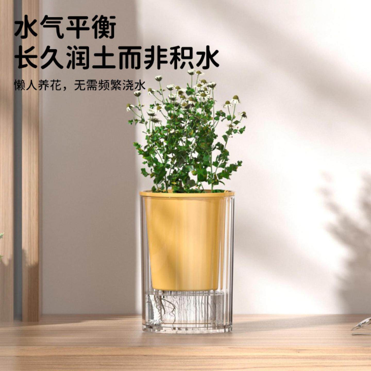 北欧简约彩色圆形懒人双层蓄水花盆透明底座自吸水创意双层花瓶