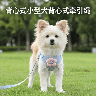 狗牵引绳背心式小型犬泰迪比熊博美专用胸背带幼犬链子遛狗绳涤纶
