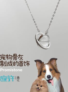 宠物骨灰生命晶石猫狗项链925银
