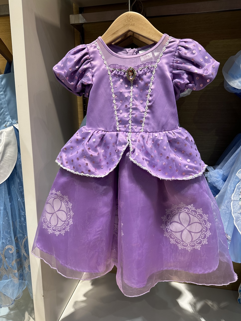 清仓特价推荐美得无法形容 苏菲亚小公主豪华版蓬蓬礼服裙