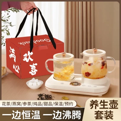 多功能养生电炖杯双底座迷你小型玻璃养生杯炖煮一体养生壶礼品杯