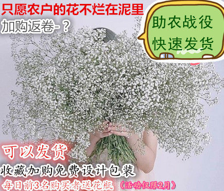 超大束满天星干花鲜花花束天然干花家居文艺摆设装饰真花500g包邮在类目 鲜花速递/花卉仿真/绿植园艺, 永生花/干花, 干花中 - 来自Buy2taobao.com提供专业的淘宝代购服务