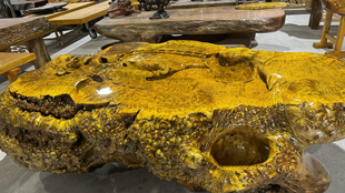 黄金樟树瘤根雕茶台整体树根茶几实木天然原木木雕茶桌缅甸国宝