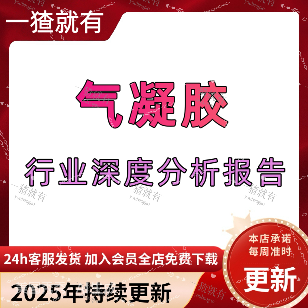 2025年气凝胶行业深度分析报告 134页 气凝胶市场趋势 定制报告