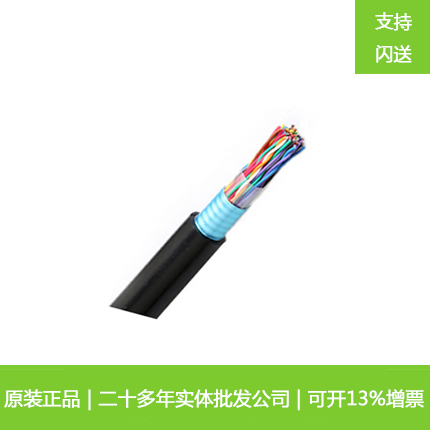 大对数HYA50*2*0.5 通信电缆电话线缆国标 室外阻水数据电缆1米价