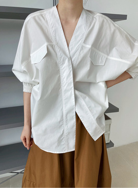 2025 Autumn New French Batwing Sleeve V-neck Blouse