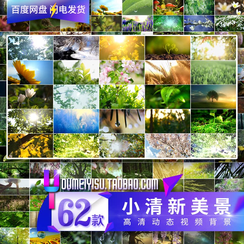唯美小清新树叶树林阳光空镜头 大自然春天夏天绿叶动态视频素材