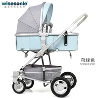 Лотос зеленый четырехпрозрачный взрыв