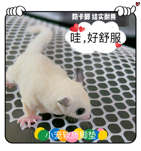 蜜袋鼯仓鼠饲养箱笼脚垫刺猬豚鼠兔子龙猫 网格防钻防挠尿片垫片