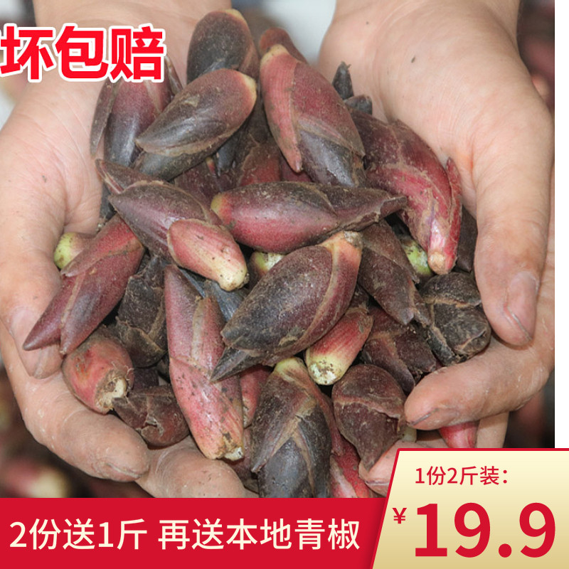 洋荷姜新鲜湘西怀化湖南野生阳荷姜阳霍洋火茗荷 野山姜 野洋荷|ruв категории водной мясо/свежие фрукты и овощи/еда, свежие овощи/овощной продукции, свежие овощи, другие - от Buy2taobao.com для оказания профессиональной услуги покупки агента Taobao