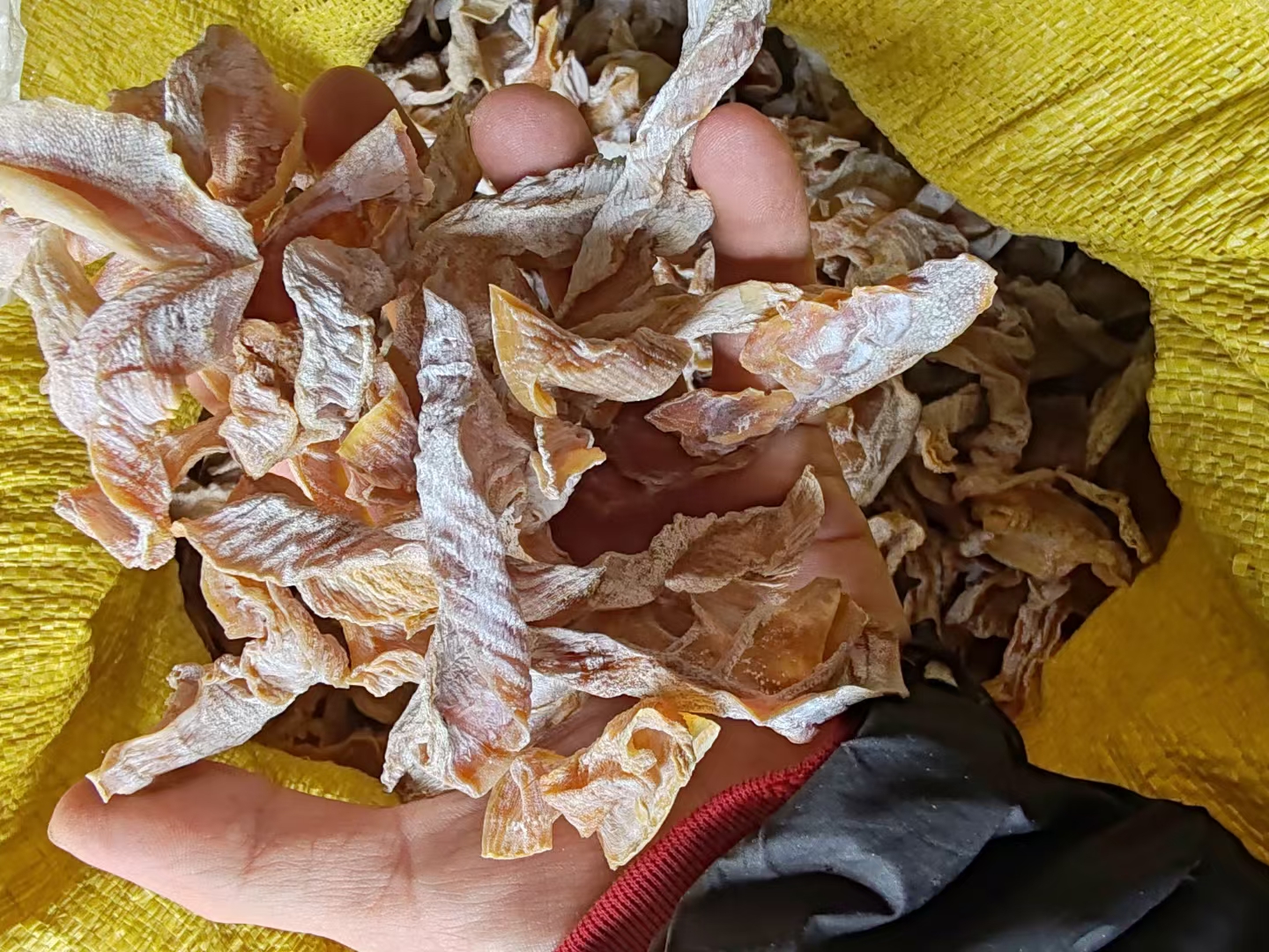 农家野生春笋干2025新货 嫩尖无盐无硫 纯天然日晒 干货炖红烧肉