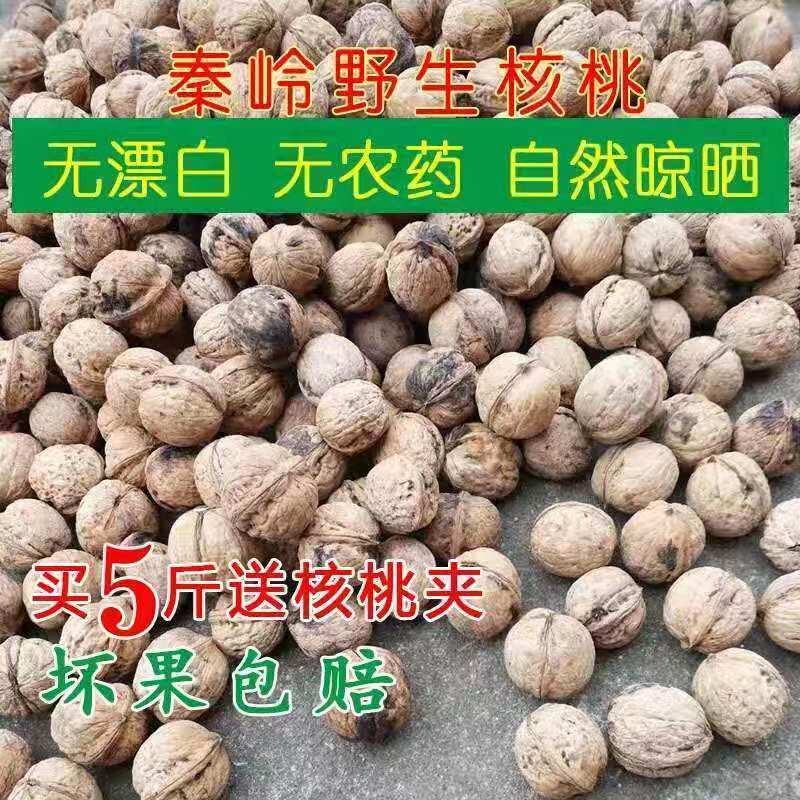 陕西秦岭野山核桃老树原味生核桃不漂白不打药不苦不涩孕妇吃精品