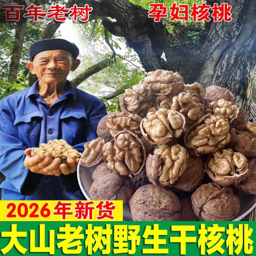 秦岭深山野生山核桃老笨厚皮核桃
