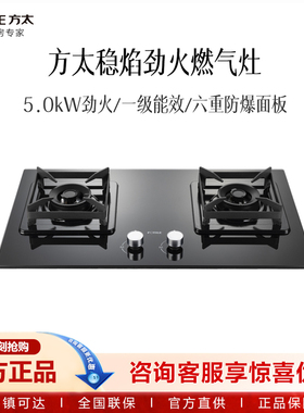 方太 TD17B 燃气灶劲火