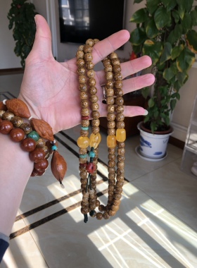 星月菩提菩提星月菩提