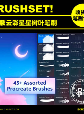45款Procreate云彩星星树叶气泡风景笔刷iPad手绘插画设计素材