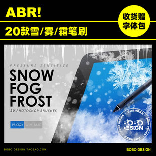 20款冬天暴风雪霜花薄雾冰霜雪花下雪飘雪abr笔刷质感PS设计素材