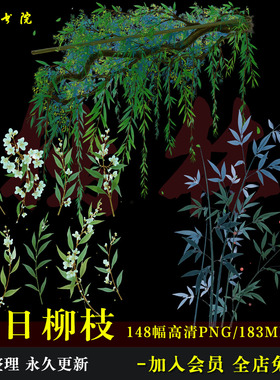 D126翠绿柳枝柳叶树枝免抠原创可商饭圈美工海报背景素材