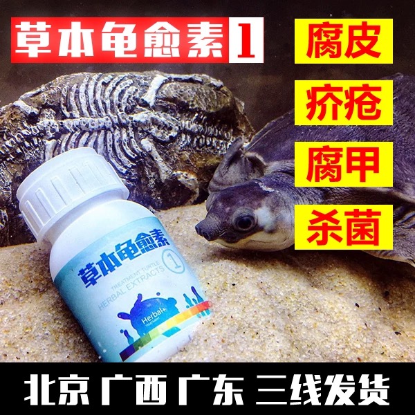 草本龟愈素1号药 龟药爬宠水龟陆龟 腐皮疥疮腐甲杀菌 乌龟专用