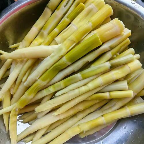 净重无水水煮竹笋湖南野生新鲜嫩笋农家现摘现发买5斤送酸菜1斤