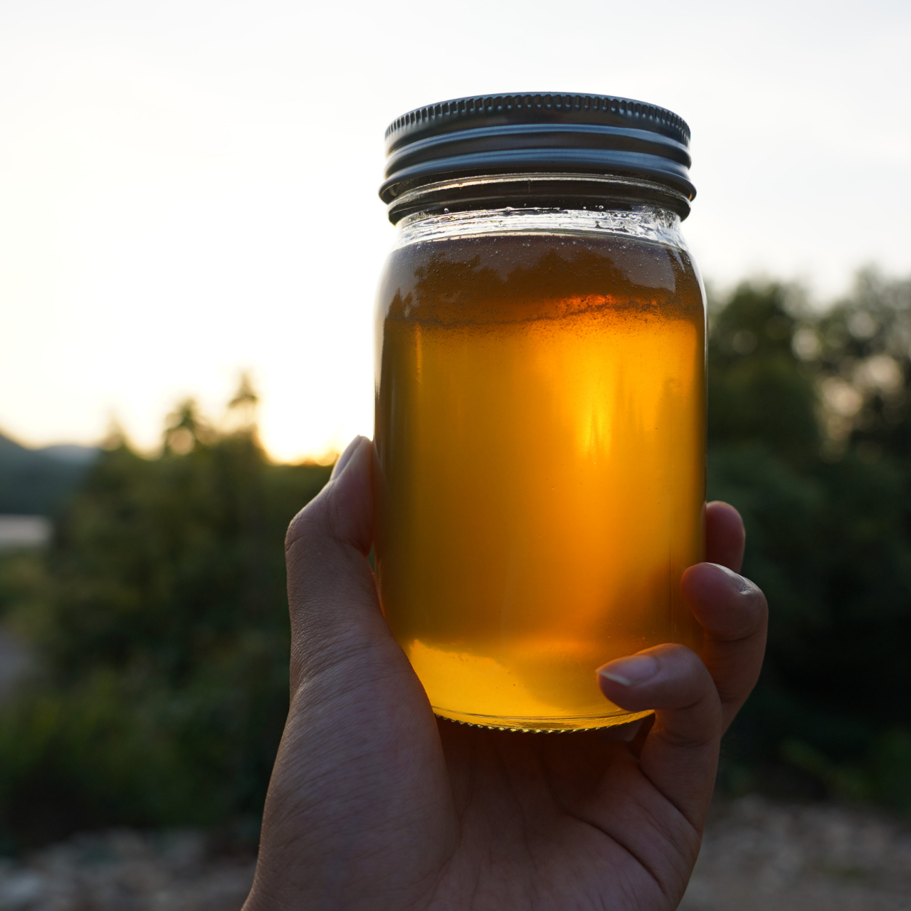 华农兄弟土蜂蜜纯正天然百花蜜农产品500g无加工无浓缩天然原蜜