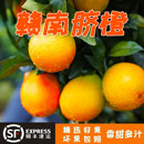 顺丰发货华农兄弟正宗赣南脐橙10斤装 水果赣南手剥橙 水果整箱应季