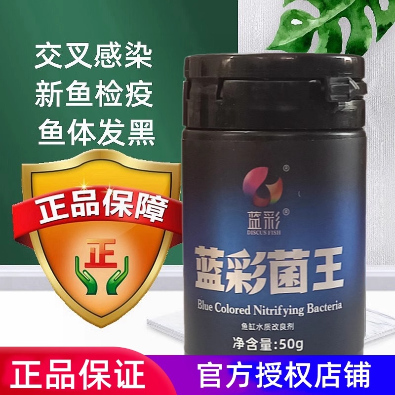 蓝彩菌王七彩神仙交叉感染水霉白毛发黑蒙眼烂肉扎堆内寄外寄 宠物/宠物食品及用品 其他益生菌 原图主图