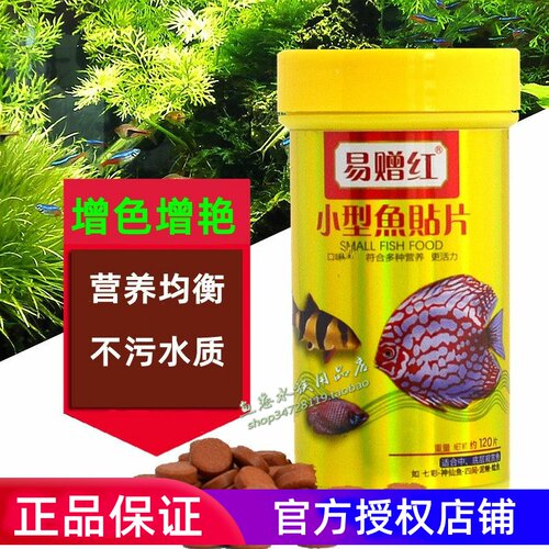 易赠红小型热带鱼贴片鱼粮渔食