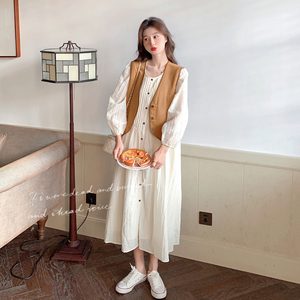大货 两件套连衣裙+小马甲 8538-P155-控238图片